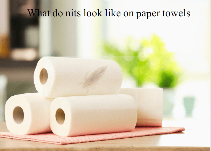 What Do Nits Look Like on Paper Towels?.This article will provide you with an in-depth understanding of nits, their appearance on paper towels, and how to manage them effectively.
